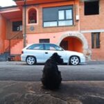 Foto del perfil de IGLESIAS Santiago