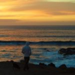 Foto del perfil de Moises Alvarez