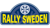 rally de suecia dirt rally